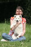 ADULTE ET CHIEN 441
